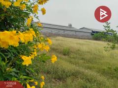 ขายที่ดินสวย เนื้อที่ 4 ไร่ 2 งาน 20 ตารางวา นครปฐม ทำเลดี-202510071355261759820126126.jpg