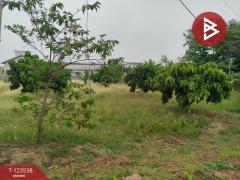 ขายที่ดินสวย เนื้อที่ 4 ไร่ 2 งาน 20 ตารางวา นครปฐม ทำเลดี-202510071355261759820126646.jpg