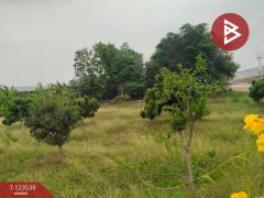 ขายที่ดินสวย เนื้อที่ 4 ไร่ 2 งาน 20 ตารางวา นครปฐม ทำเลดี-202510071355271759820127364.jpg