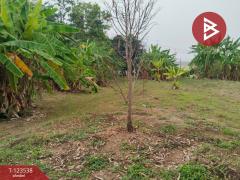 ขายที่ดินสวย เนื้อที่ 4 ไร่ 2 งาน 20 ตารางวา นครปฐม ทำเลดี-202510071355271759820127888.jpg