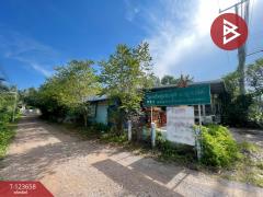 ขายบ้านเดี่ยวพร้อมที่ดิน เนื้อที่ 1 งาน อัมพวา สมุทรสงคราม-202510071424211759821861098.jpg