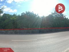 ขายที่ดินพร้อมสวนยาง เนื้อที่ 9 ไร่ 1 งาน 50 ตร.วา ศรีวิไล บึงกาฬ-202510071431371759822297200.jpg