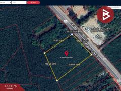 ขายที่ดินพร้อมสวนยาง เนื้อที่ 9 ไร่ 1 งาน 50 ตร.วา ศรีวิไล บึงกาฬ-202510071431371759822297731.jpg