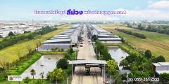 BIGGERLAND PHASE 4 - คลอง 8 โรงงานพร้อมออฟฟิศมาตรฐานอุตสาหกรรม บนทำเลสีม่วงเข้ม! โทร. 099-261-2555-202510071537241759826244600.jpg