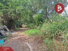 ขายที่ดินเปล่า-เนื้อที่-300-ตารางวา-จต