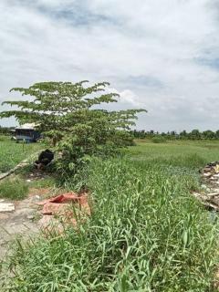 ขายที่ดินเปล่า ซอยเกษตรสมบุญ คลอง 10 เนื้อที่ 10-1-50.4 ไร่  ถนนทางหลวงชนบท ปท.3032 ตำบลบึงทองหลาง อำเภอลำลูกกา จังหวัดปทุมธานี-202510071553151759827195307.jpg