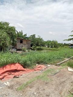 ขายที่ดินเปล่า ซอยเกษตรสมบุญ คลอง 10 เนื้อที่ 10-1-50.4 ไร่  ถนนทางหลวงชนบท ปท.3032 ตำบลบึงทองหลาง อำเภอลำลูกกา จังหวัดปทุมธานี-202510071553181759827198138.jpg