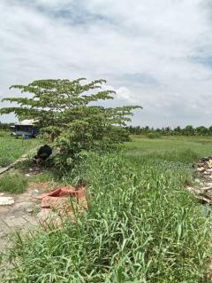 ขายที่ดินเปล่า ซอยเกษตรสมบุญ คลอง 10 เนื้อที่ 10-1-50.4 ไร่  ถนนทางหลวงชนบท ปท.3032 ตำบลบึงทองหลาง อำเภอลำลูกกา จังหวัดปทุมธานี-202510071556401759827400685.jpg