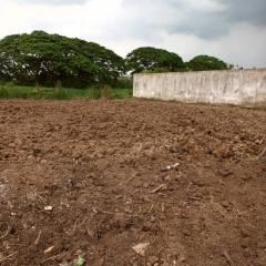 ขายที่ดิน 2-1-6.6 ไร่ หมู่บ้าน kc garden ซอยนิมิตรใหม่ 40 ใกล้โรงพยาบาลคลองสามวา-202510071642451759830165821.jpg