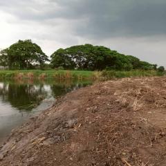 ขายที่ดิน 2-1-6.6 ไร่ หมู่บ้าน kc garden ซอยนิมิตรใหม่ 40 ใกล้โรงพยาบาลคลองสามวา-202510071642461759830166354.jpg