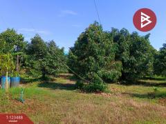 ขายที่ดิน เนื้อที่ 2 ไร่ 1 งาน 5.2 ตร.วา เกาะขวาง จันทบุรี-202510071654291759830869335.jpg