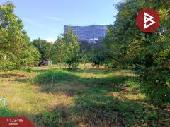 ขายที่ดิน เนื้อที่ 2 ไร่ 1 งาน 5.2 ตร.วา เกาะขวาง จันทบุรี-202510071654291759830869861.jpg