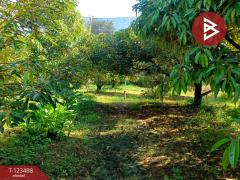 ขายที่ดิน เนื้อที่ 2 ไร่ 1 งาน 5.2 ตร.วา เกาะขวาง จันทบุรี-202510071654301759830870392.jpg