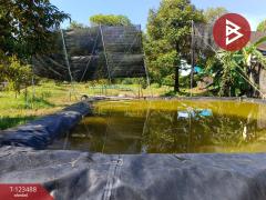 ขายที่ดิน เนื้อที่ 2 ไร่ 1 งาน 5.2 ตร.วา เกาะขวาง จันทบุรี-202510071654311759830871451.jpg