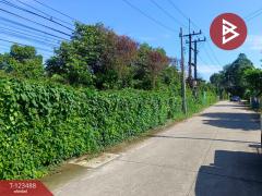 ขายที่ดิน เนื้อที่ 2 ไร่ 1 งาน 5.2 ตร.วา เกาะขวาง จันทบุรี-202510071654331759830873003.jpg