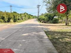 ขายบ้านเดี่ยวพร้อมที่ดิน เนื้อที่ 2 งาน วังใหม่ จันทบุรี-202510071755531759834553443.jpg