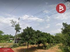 ขายบ้านเดี่ยวพร้อมที่ดิน เนื้อที่ 2 งาน วังใหม่ จันทบุรี-202510071755531759834553959.jpg