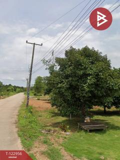 ขายบ้านเดี่ยวพร้อมที่ดิน เนื้อที่ 2 งาน วังใหม่ จันทบุรี-202510071755541759834554472.jpg