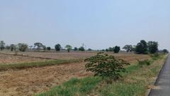 ขายที่ดิน 11 ไร่ 2 งาน 39 ตารางวา ตำบลยะวึก อำเภอชุมพลบุรี จังหวัดสุรินทร์