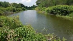 บริการจัดหาที่ดิน เพื่อธุรกิจเล็กใหญ่ บ้านสวน ที่อยู่อาศัย บ้านจัดสรร โรงงานฯ ตามสเปคที่ต้องการชัดเจนทุกหัวข้อ ราคาตรง ธุรกิจต้องเดินหน้า ตามหลังคนอื่น 1 ก้าว ในสมัยนี้ เท่ากับ 10 ก้าว ในสมัยต่อไป #จงใช้โอกาส เมื่อมีโอกาส# ลองอ่านดูครับ-202510080929071759890547551.jpg