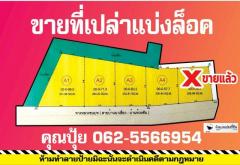 ขายที่เปล่าชัยภูมิ..ขายที่แบ่งล็อค..ขายที่เปล่าตำบลนาเสียวชัยภูมิ...ขายที่เปล่าติดถนนบ้านนาเสียว