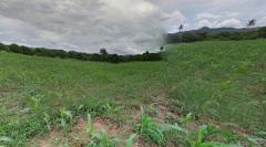 ขายที่ดินเปล่า พญาเย็น ปากช่อง นครราชสีมา 9 ไร่ วิวเขา /ธรรมชาติ ราคาต่อรองได้-202510081019251759893565129.jpg