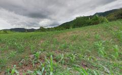 ขายที่ดินเปล่า พญาเย็น ปากช่อง นครราชสีมา 9 ไร่ วิวเขา /ธรรมชาติ ราคาต่อรองได้-202510081019251759893565600.jpg