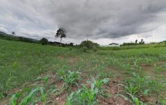 ขายที่ดินเปล่า พญาเย็น ปากช่อง นครราชสีมา 9 ไร่ วิวเขา /ธรรมชาติ ราคาต่อรองได้-202510081019261759893566401.jpg