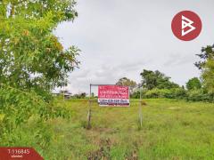 ขายที่ดิน เนื้อที่ 4 ไร่ 3 งาน 15 ตร.วา ในเมือง หนองคาย