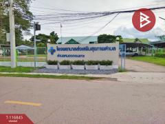 ขายที่ดิน เนื้อที่ 4 ไร่ 3 งาน 15 ตร.วา ในเมือง หนองคาย-202510081023171759893797514.jpg