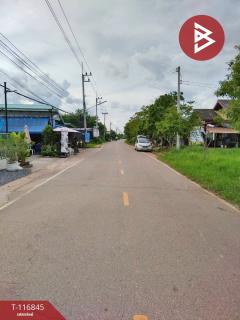 ขายที่ดิน เนื้อที่ 4 ไร่ 3 งาน 15 ตร.วา ในเมือง หนองคาย-202510081023181759893798044.jpg