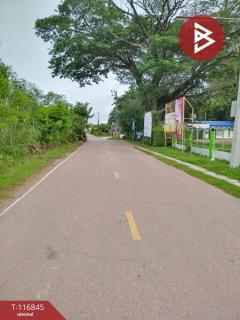 ขายที่ดิน เนื้อที่ 4 ไร่ 3 งาน 15 ตร.วา ในเมือง หนองคาย-202510081023181759893798556.jpg