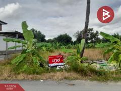 ขายที่ดิน เนื้อที่ 80 ตร.วา มีนบุรี กรุงเทพมหานคร-202510081032251759894345135.jpg