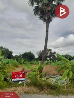 ขายที่ดิน เนื้อที่ 80 ตร.วา มีนบุรี กรุงเทพมหานคร-202510081032251759894345663.jpg