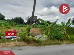 ขายที่ดิน เนื้อที่ 80 ตร.วา มีนบุรี กรุงเทพมหานคร-202510081032261759894346215.jpg