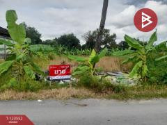 ขายที่ดิน เนื้อที่ 80 ตร.วา มีนบุรี กรุงเทพมหานคร-202510081032261759894346757.jpg