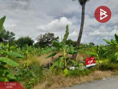 ขายที่ดิน เนื้อที่ 80 ตร.วา มีนบุรี กรุงเทพมหานคร-202510081032271759894347286.jpg