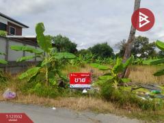 ขายที่ดิน เนื้อที่ 80 ตร.วา มีนบุรี กรุงเทพมหานคร-202510081032281759894348849.jpg