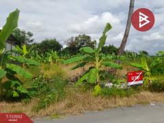 ขายที่ดิน เนื้อที่ 80 ตร.วา มีนบุรี กรุงเทพมหานคร-202510081032291759894349374.jpg