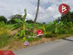 ขายที่ดิน เนื้อที่ 80 ตร.วา มีนบุรี กรุงเทพมหานคร-202510081032291759894349905.jpg