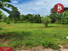 ขายที่ดิน 2 แปลง หนองขาม ศรีราชา ชลบุรี-202510081118221759897102103.jpg