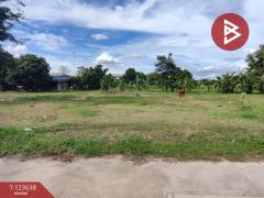 ขายที่ดิน 2 แปลง หนองขาม ศรีราชา ชลบุรี-202510081118221759897102688.jpg