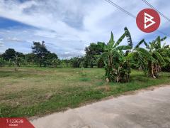 ขายที่ดิน 2 แปลง หนองขาม ศรีราชา ชลบุรี-202510081118231759897103766.jpg