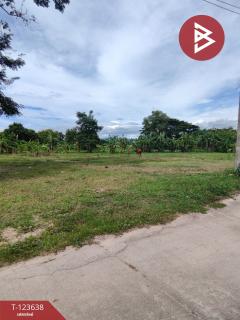 ขายที่ดิน 2 แปลง หนองขาม ศรีราชา ชลบุรี-202510081118241759897104309.jpg