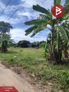 ขายที่ดิน 2 แปลง หนองขาม ศรีราชา ชลบุรี-202510081118241759897104829.jpg