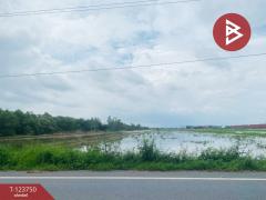 ขายที่ดิน-เนื้อที่-3-ไร่-3-งาน-ลำลูกกา-