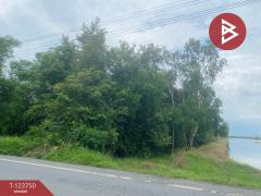 ขายที่ดิน เนื้อที่ 3 ไร่ 3 งาน ลำลูกกา ปทุมธานี-202510081123381759897418396.jpg