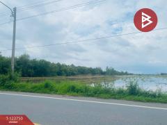 ขายที่ดิน เนื้อที่ 3 ไร่ 3 งาน ลำลูกกา ปทุมธานี-202510081123381759897418952.jpg