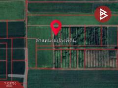 ขายที่ดิน เนื้อที่ 3 ไร่ 3 งาน ลำลูกกา ปทุมธานี-202510081123391759897419475.jpg