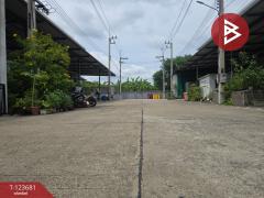 ขายโกดังพร้อมออฟฟิศ เนื้อที่ 86.6 ตร.วา กระทุ่มแบน สมุทรสาคร-202510081133041759897984942.jpg